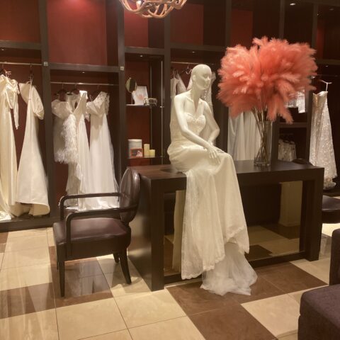 wedding dressの試着の同行👗👗 GALLERIA collection