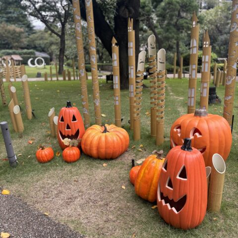 ハロウィン🎃からクリスマスへ