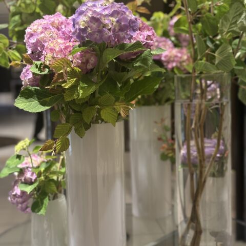 紫陽花の季節　雨にも負けないお見合い
