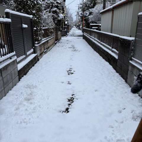雪が心配・・・　新規カウンセリング☕️
